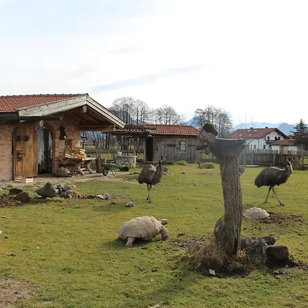 Erlebnislandgasthof Neiderhell Hotel Kleinholzhausen